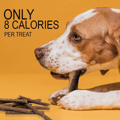 Ingrédients naturels et sans sous-produits pour chien