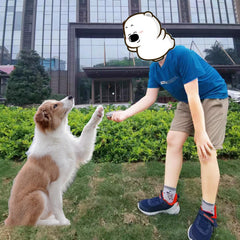 INNOYUMLIN aluminium de haute qualité, robuste et léger.