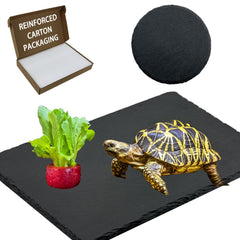 INOSCIND plateforme réptile rectangulaire 11,8 × 6 po offre un espace de chauffage fiable.