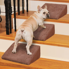 INRLKIT Rampe-Chien: pente douce pour chiens et chats, soutien sûr