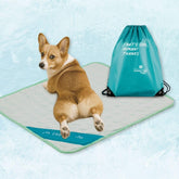 INSPECTOR TAIL Tapis ChillPocket menthe, répartition AIR-CELL pour une fraîcheur durable.
