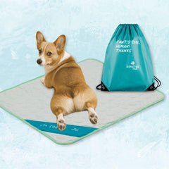 INSPECTOR TAIL Tapis ChillPocket menthe, répartition AIR-CELL pour une fraîcheur durable.
