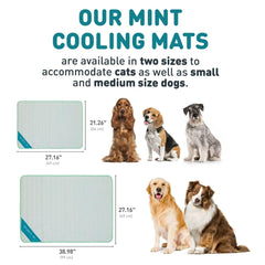 INSPECTOR TAIL Tapis plein-air menthe, parfait pour usage intérieur et extérieur.