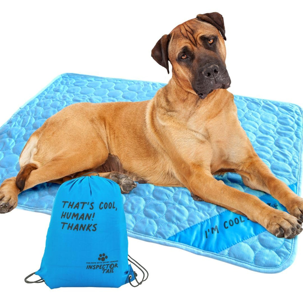 Inspectortail tapis refroidissant pour animaux bleu – rafraîchit en douceur lors des journées chaudes.