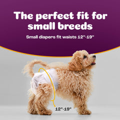 Pack économique Inspire, protections pour chiennes femelles 50 unités pratique et économique.