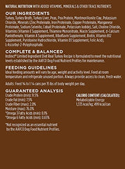 Instinct alimentation humide dinde simple ingrédients — repas pratique pour chien sensible.