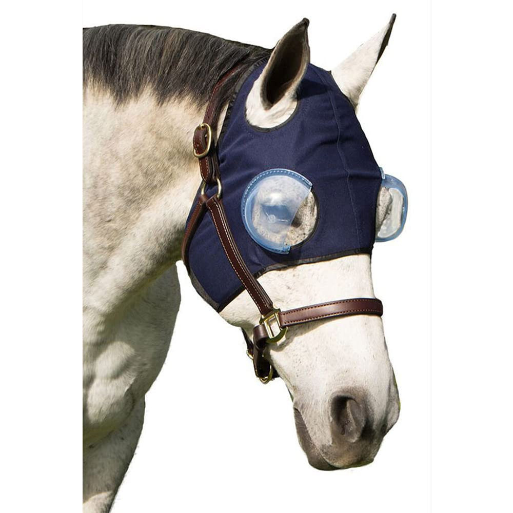 Capuche de protection oculaire Intrepid International pour cheval, protège l’œil durant les soins.