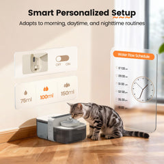 Invengo fontaine-chat corps inox 304, durable et sûr pour l eau des animaux.