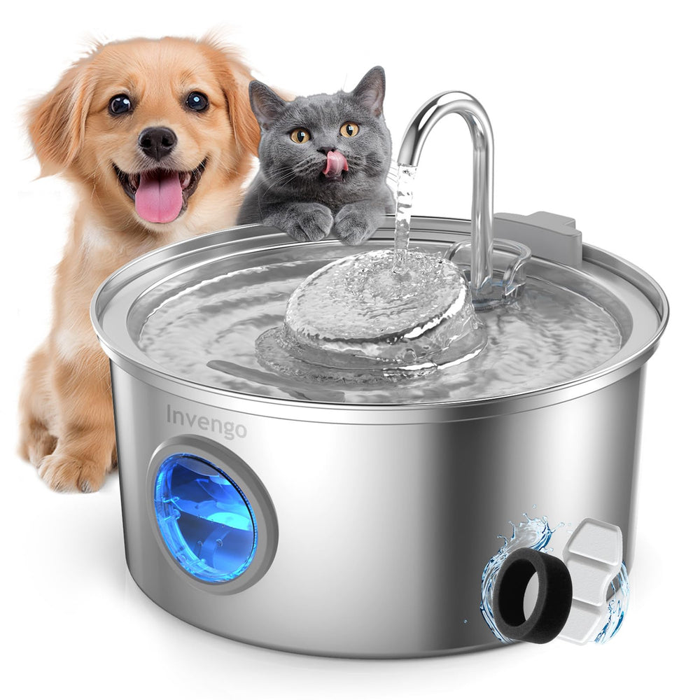 Fontaine Invengo pour chats, capacité 3,2 L, hydratation durable.