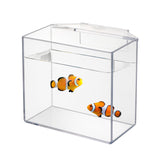 IOAOI conteneur-acclimation goutte-poissons et coraux, réduction du stress lors du transfert.