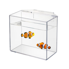 IOAOI conteneur-acclimation goutte-poissons et coraux, réduction du stress lors du transfert.