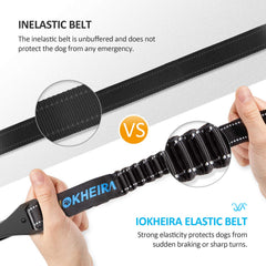 IOKHEIRA sangle nylon résistante et durable pour chien