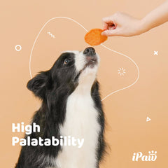 iPaw arôme poulet appétissant : attire l'attention du chien lors des sessions.