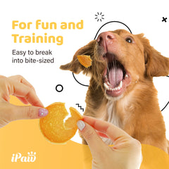 iPaw bouchées poulet hypoallergéniques : faciles à digérer pour chiens sensibles.