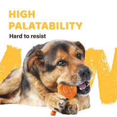 iPaw tendon dinde: soutien dentaire potentiel lors de l'usage quotidien.