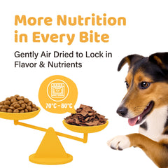 Texture douce du produit iPaw, idéale pour chiens âgés ou dents sensibles.