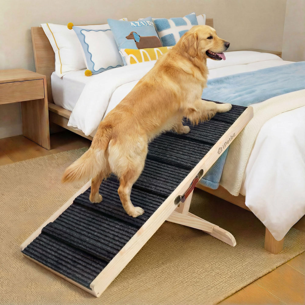 iPetba rampe chien lit canapé avec pente douce pour des montées faciles