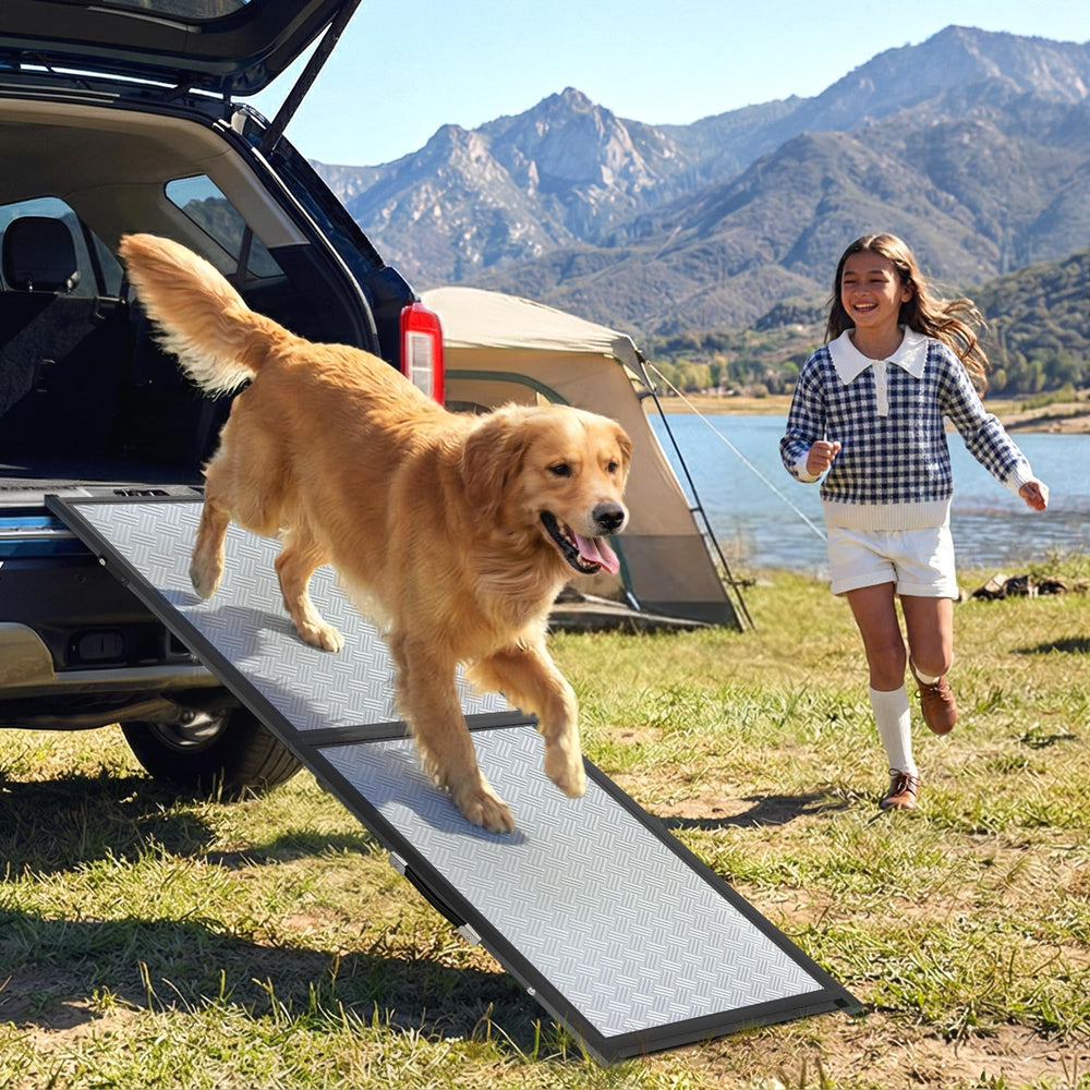 iPetba XLarge Ramp vue avant dans une voiture, accès plus sûr pour votre chien.