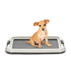Porte-tapis Iris USA pour chiots avec tapis-pipi et stabilité.