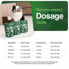 Iron Paws poudre superaliments chien doseur facilitant l'ajout quotidien.