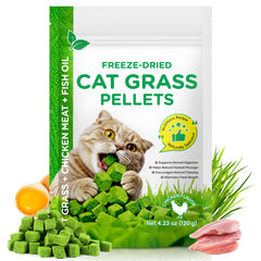 ISUNRISE Herbe pour chats 120 g – emballage pratique pour l'alimentation quotidienne.