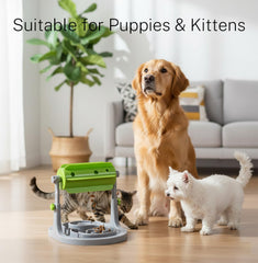 Ito Rocky distributeur bouffe chien-chat: rallonge le temps de repas.