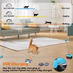 ITSHINY moteur silencieux et solide pour chats énergiques et tranquilles.