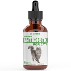 iVitamins Chat Antibiotique - flacon gouttes: soutien immunitaire potentiel pour les chats.
