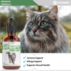 iVitamins Chat Antibiotique - gouttes faciles à administrer, amélioration du quotidien.