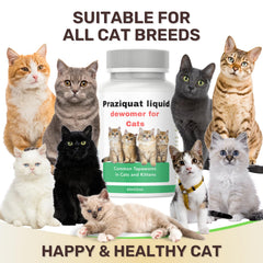 IVULTRA Soutien immunitaire pour chats: formulation adaptée au bien-être félin.