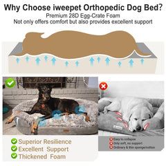 iweepet Fluffy: housse amovible lavable pour un nettoyage rapide.