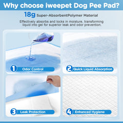iweepet tapis d'entraînement extra-large 37x54 pour chiens et autres animaux.