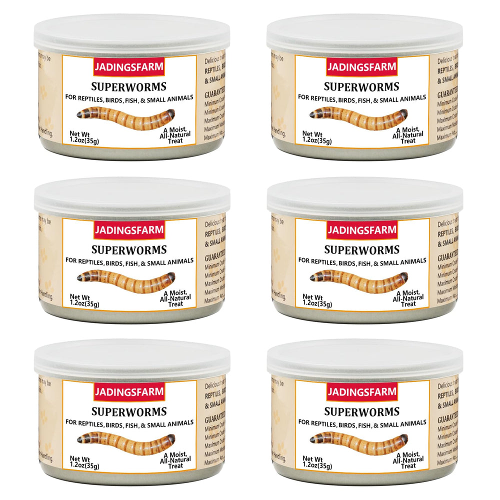 JADINGSFARM superworms boîte fermée, source pratique de protéines pour reptiles et oiseaux
