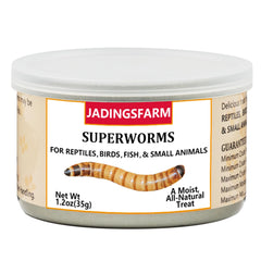 JADINGSFARM superworms boîte refermable, conservation facilitée après ouverture