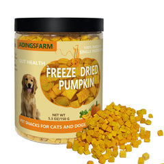 JADINGSFARM cubes de citrouille lyophilisée pour chiens, texture croustillante et snack pratique.