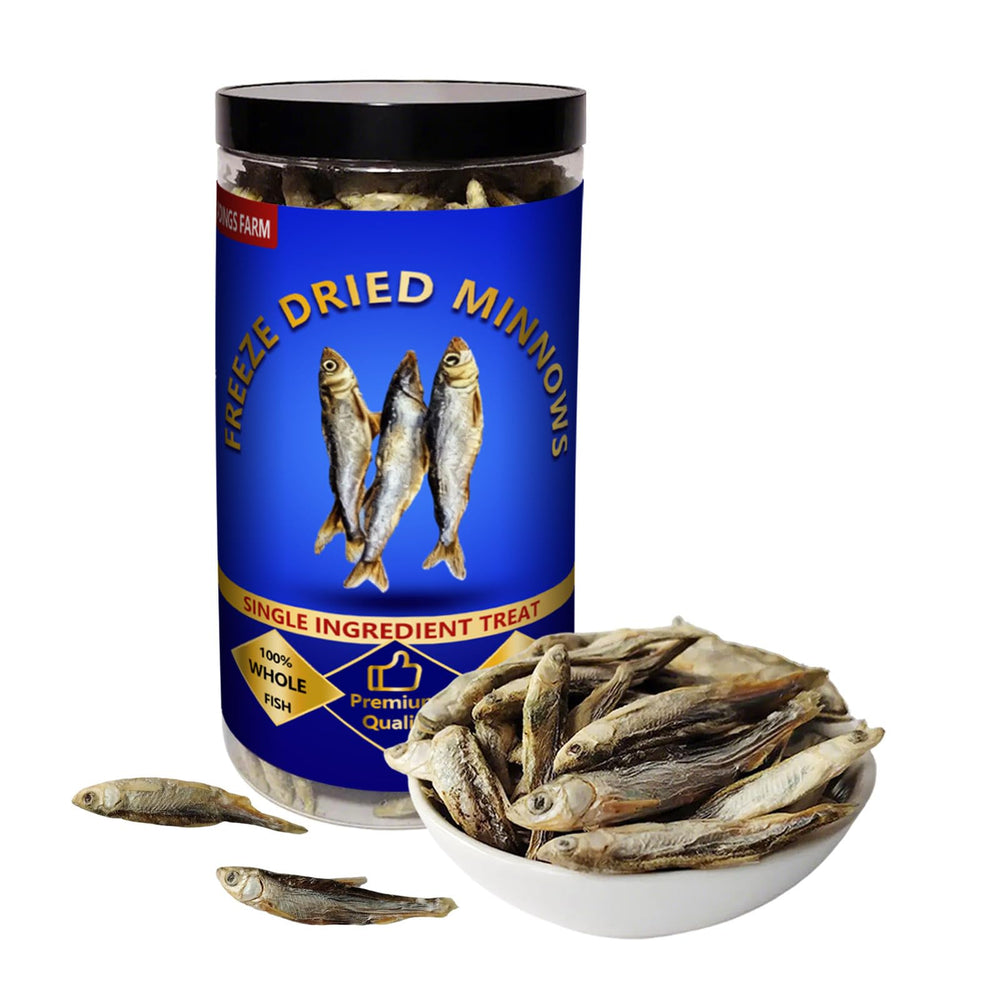 Friandises Minnows entiers lyophilisés JADINGSFARM, collation protéinée naturelle.