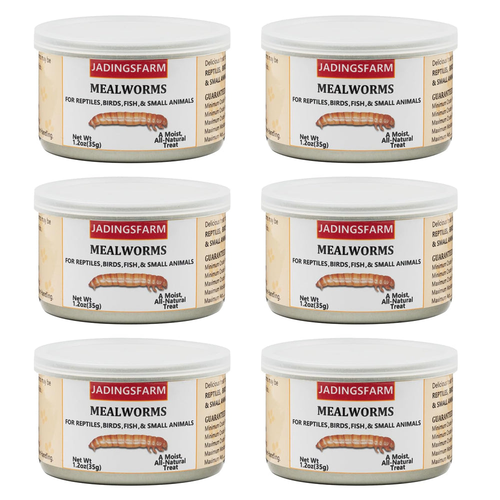 JADINGSFARM pack vers de farine, pratique à doser et nutritif pour reptiles.