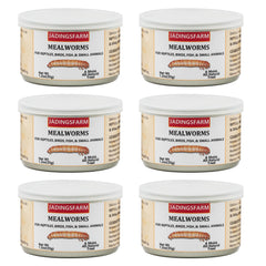 JADINGSFARM pack vers de farine, pratique à doser et nutritif pour reptiles.