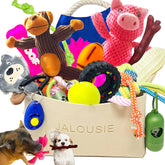 Jalousie, jouet chien sifflet, lot 24 pièces, divertissement durable pour petits et moyens chiens.