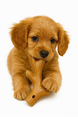 Jalousie jouet chiot couineur ensemble 4: texture douce et apaisante pour chiot.
