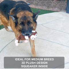 Jalousie: lot de 5 jouets chien formes diverses pour stimulation variée