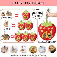 JanYoo capacité quotidienne de foin, pratique pour lapins et cochons d'Inde.
