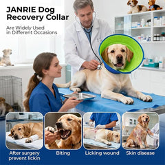 janrie collier gonflable pour chien, utilisation quotidienne légère et pratique.