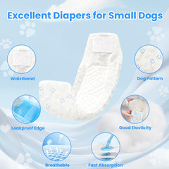 Jaoruizer noyau absorbant pour absorption rapide et propreté autour du chien.