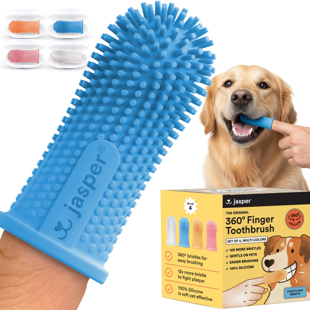 Brosse Jasper 360° pour chiens et chats, nettoyage complet.