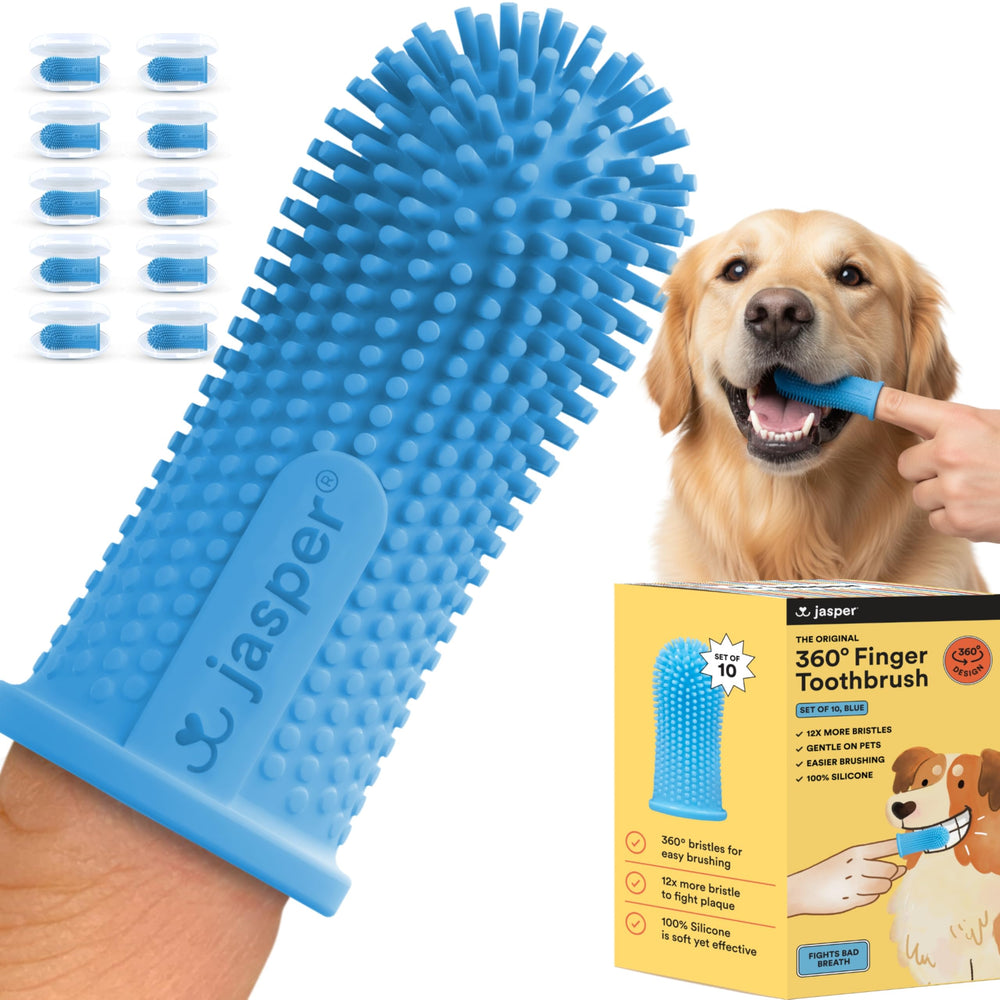 Brosse Jasper chien 360° pour un nettoyage complet en douceur.