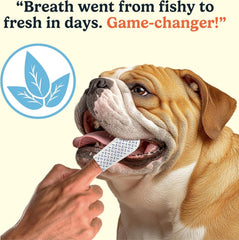 Lingettes Jasper haleine plus fraîche pour chien après utilisation.