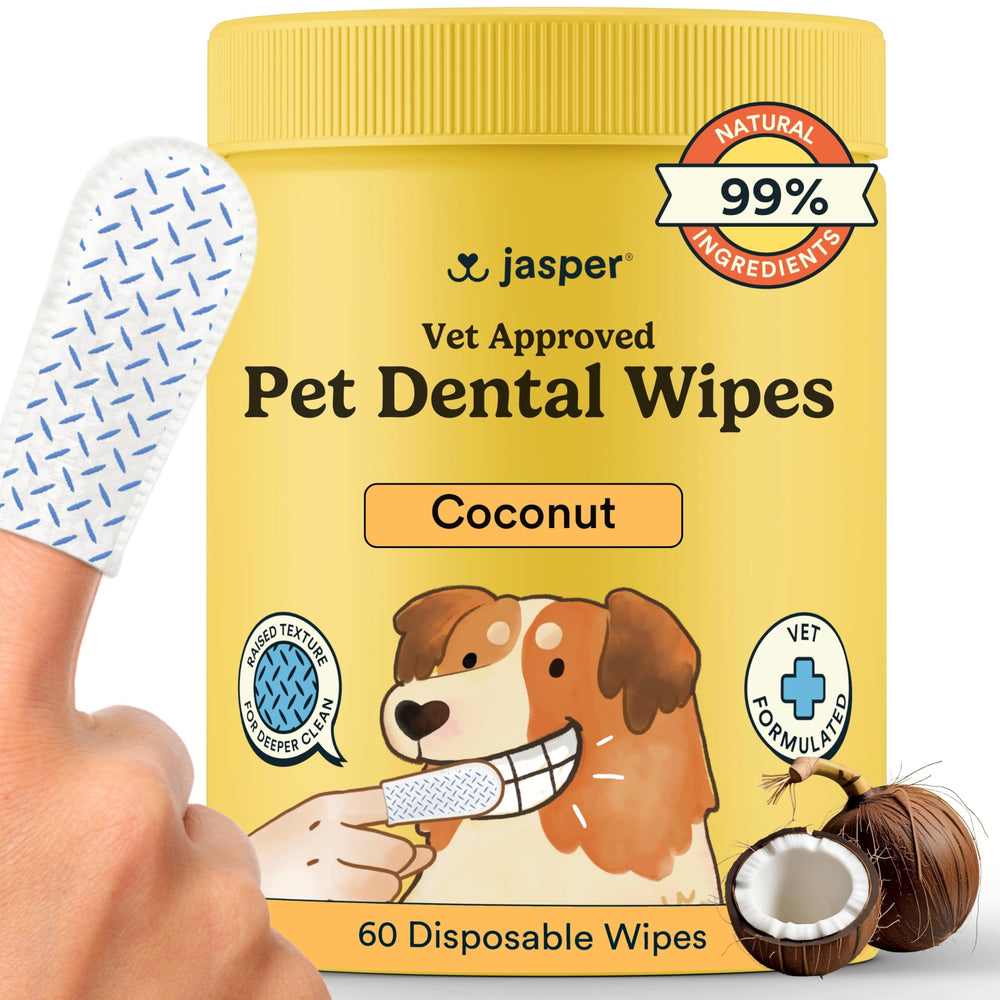 Lingettes dentaires Jasper, emballage pratique prêt à l’emploi.
