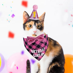 Ensemble d'accessoires JCSHIMO pour fête du chat, parfait pour les séances photo
