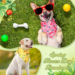 Foulards fleuris Jeere pour chien avec couleurs vives.